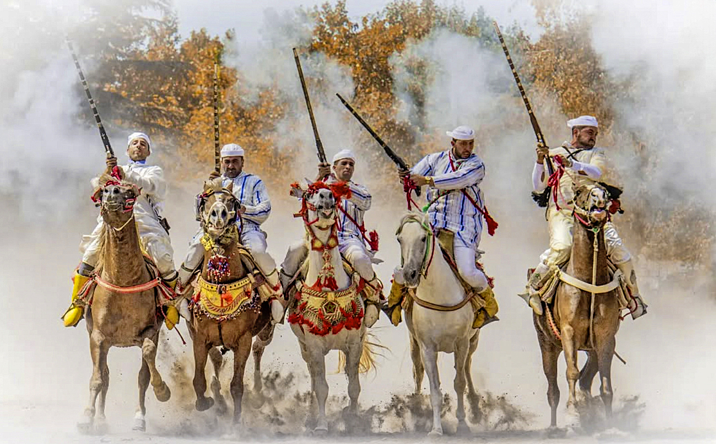 BBE7375981606D155EF89E8BD9A4EDBC