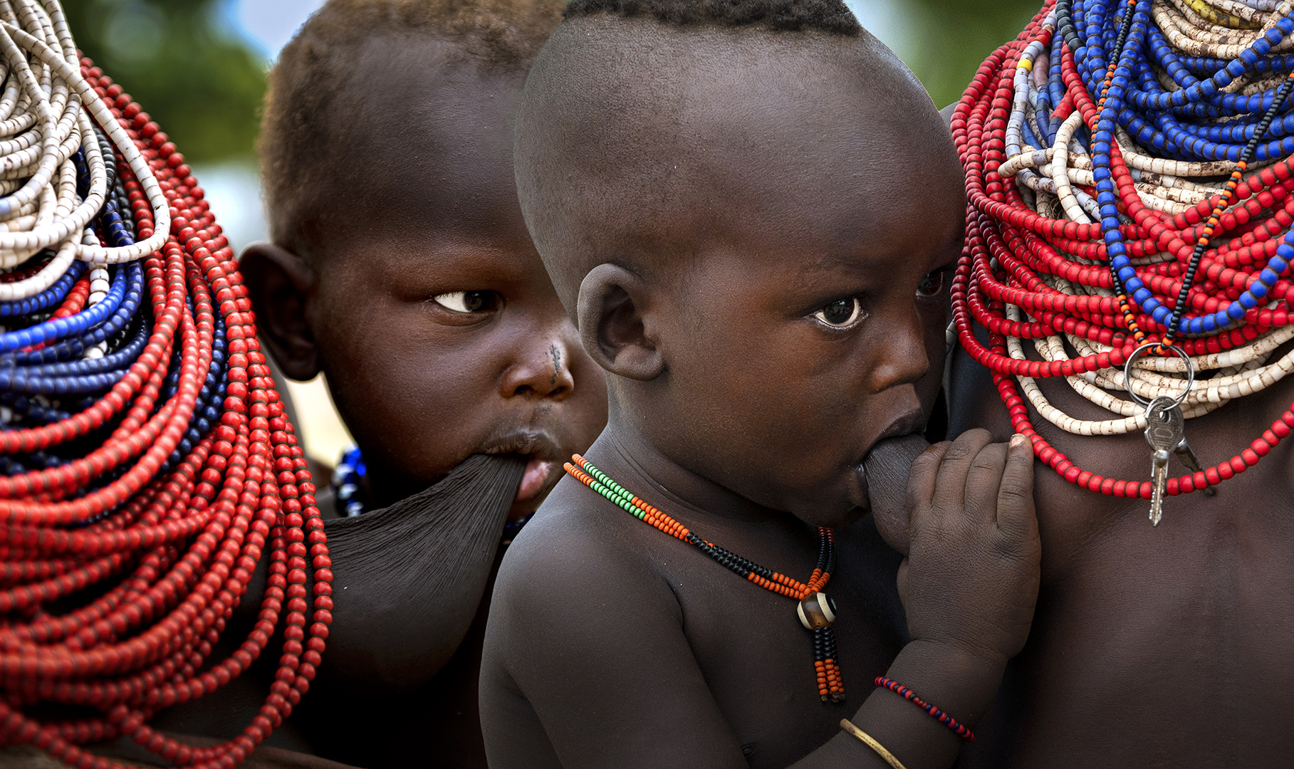 2、陈卫平《Source of Life》行摄大师奖