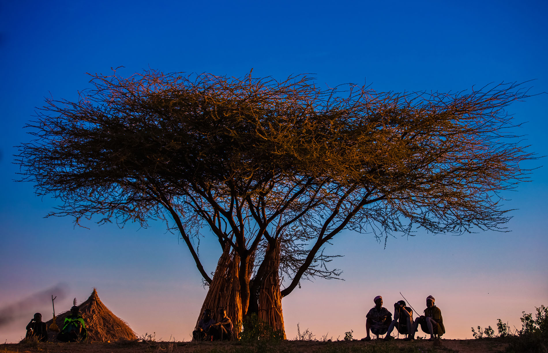 3、李森亮《守望》