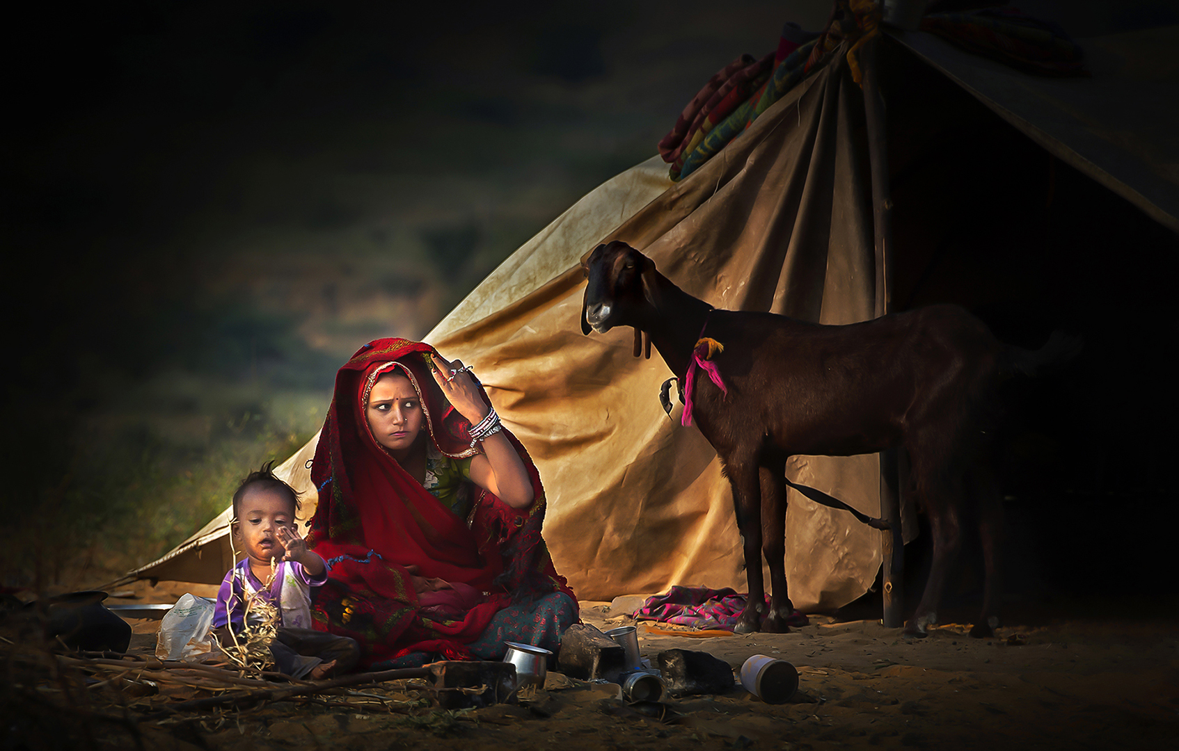 Desert flowers Desert flowers