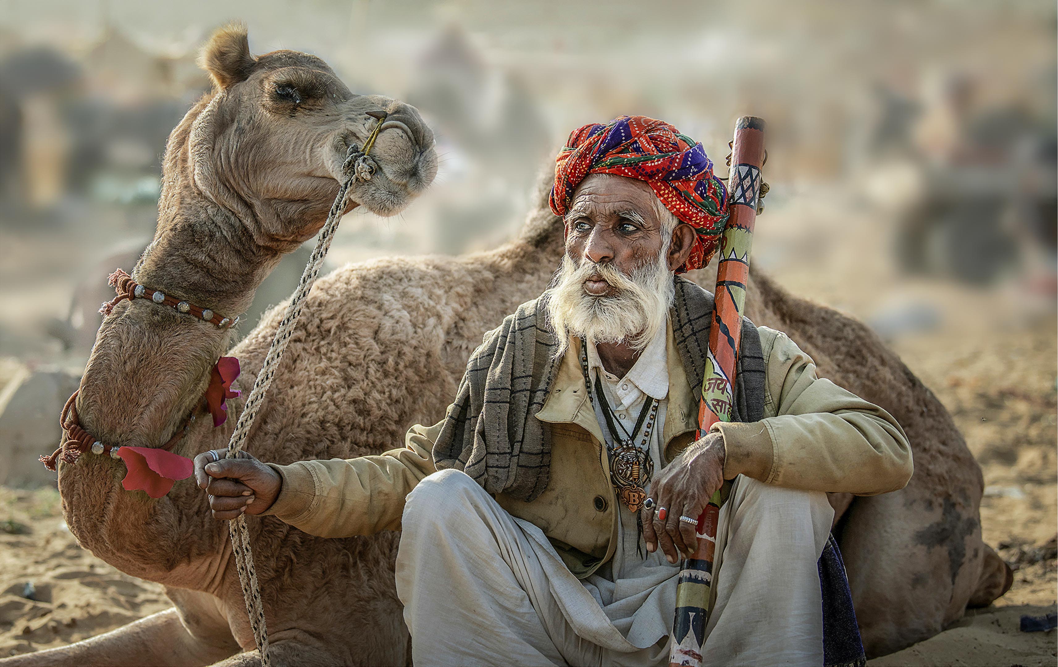 李贵森《骆驼老人》 李贵森《骆驼老人》