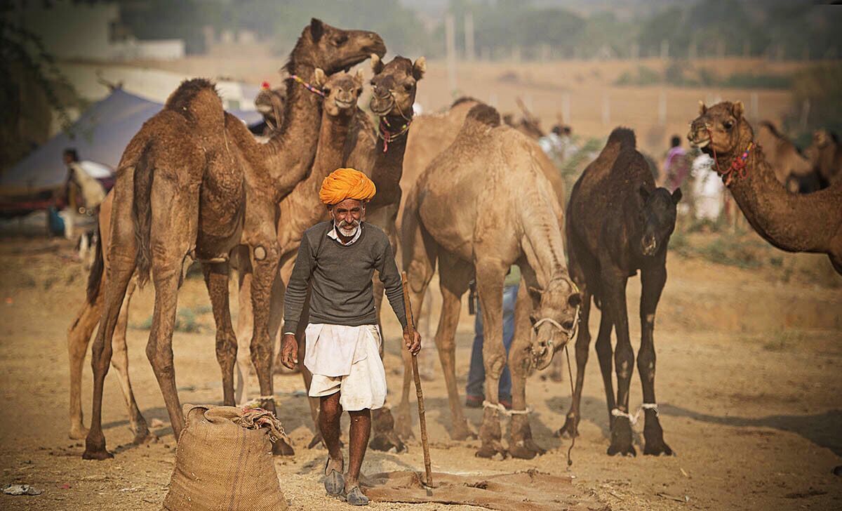 QQ图片20180523102701