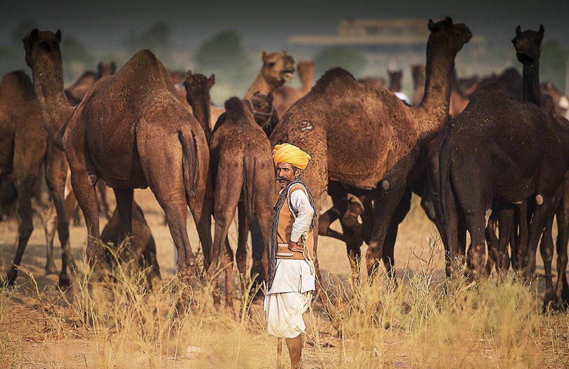 QQ图片20180523102724 QQ图片20180523102724