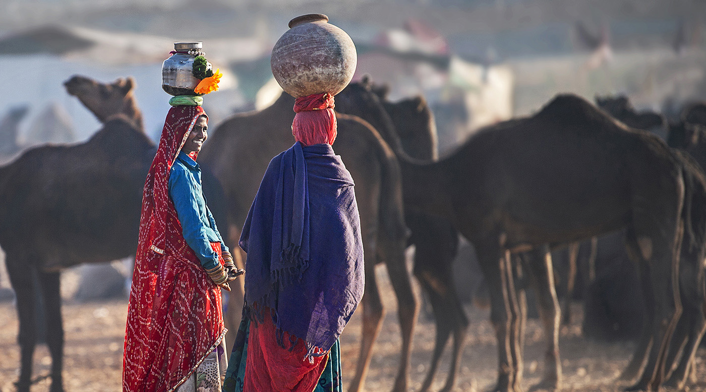 Camels and women 01 Camels and women 01