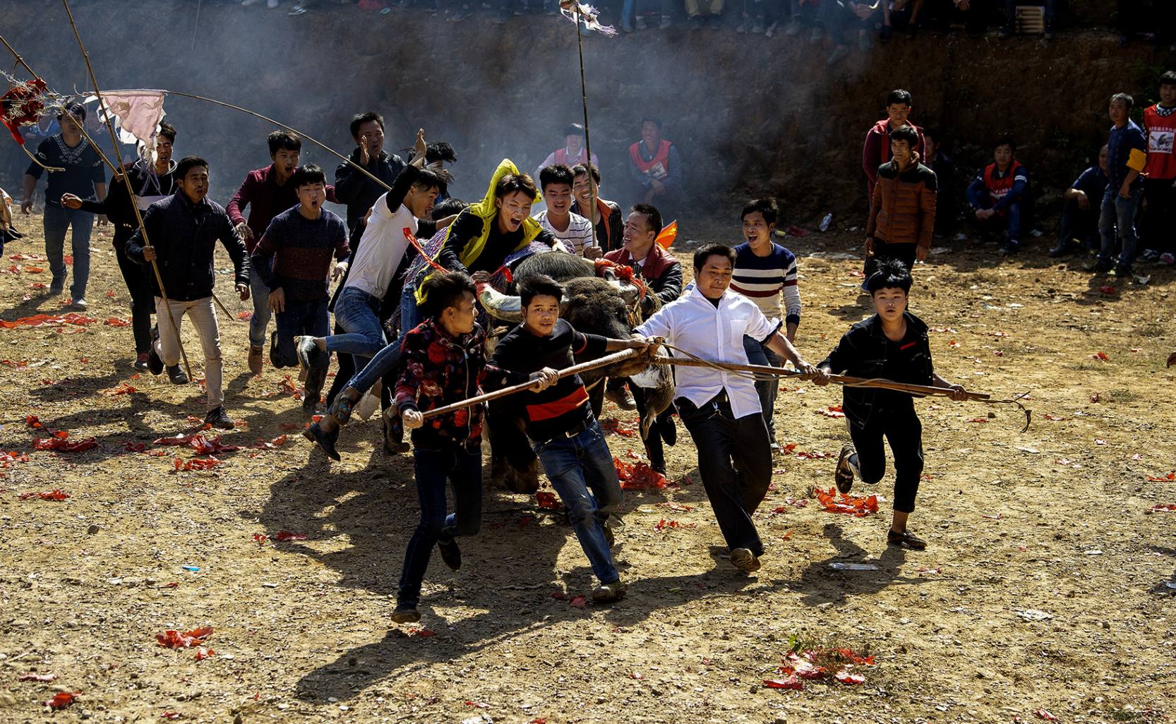 Dong bullfight champion 024 Dong bullfight champion 024