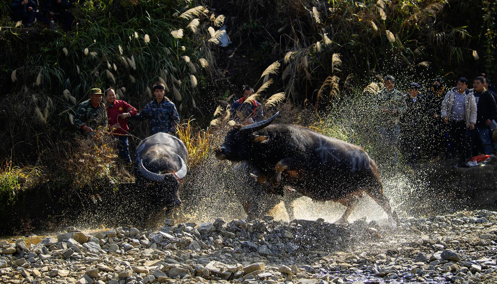 91CE151531EF7F9115E39B84D2CEBB96