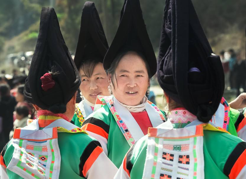 毡苗印象